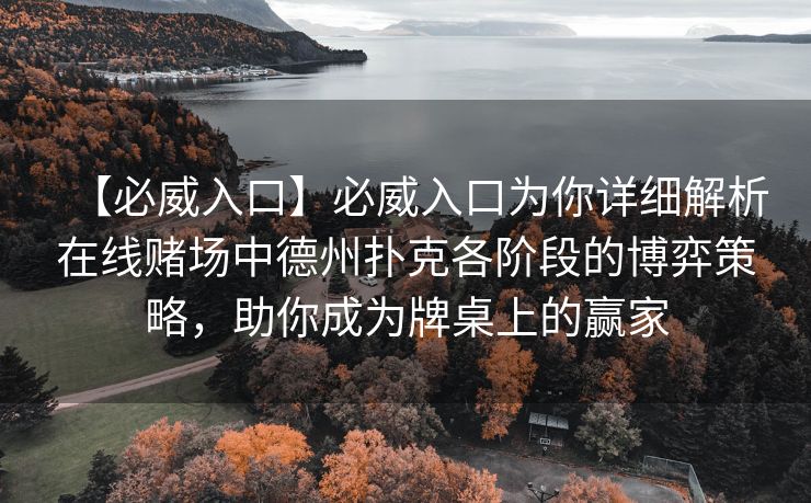 【必威入口】必威入口为你详细解析在线赌场中德州扑克各阶段的博弈策略，助你成为牌桌上的赢家