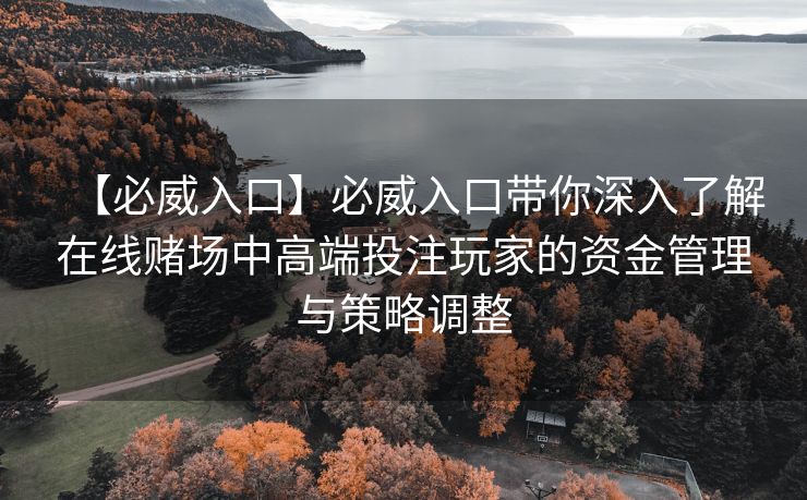 【必威入口】必威入口带你深入了解在线赌场中高端投注玩家的资金管理与策略调整